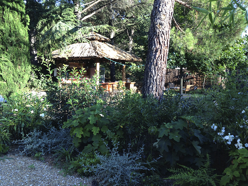 villa lumières, luberon, Goult, espace détente, jardin zen